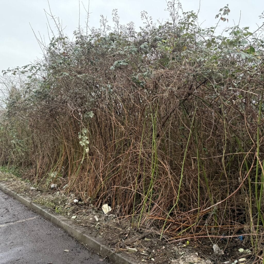 location de benne bruay sur escaut