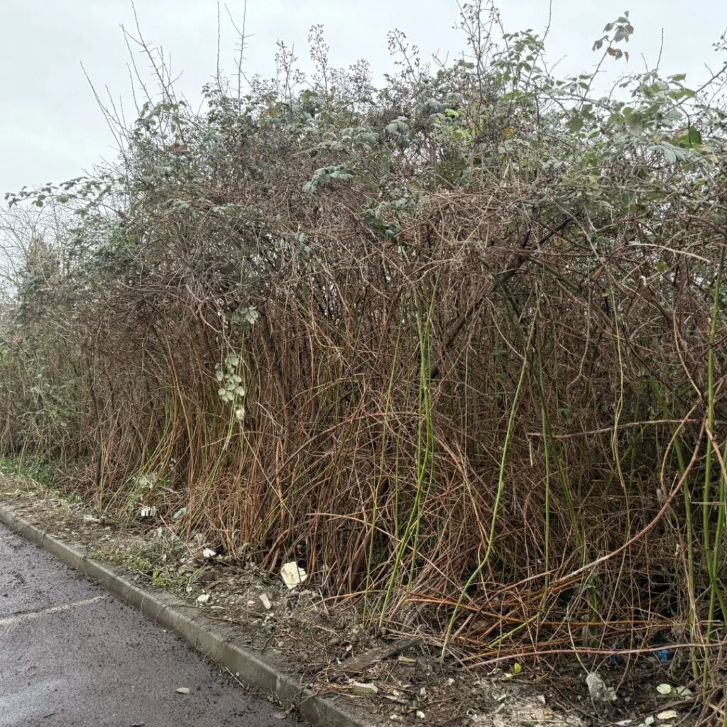 location de benne bruay sur escaut